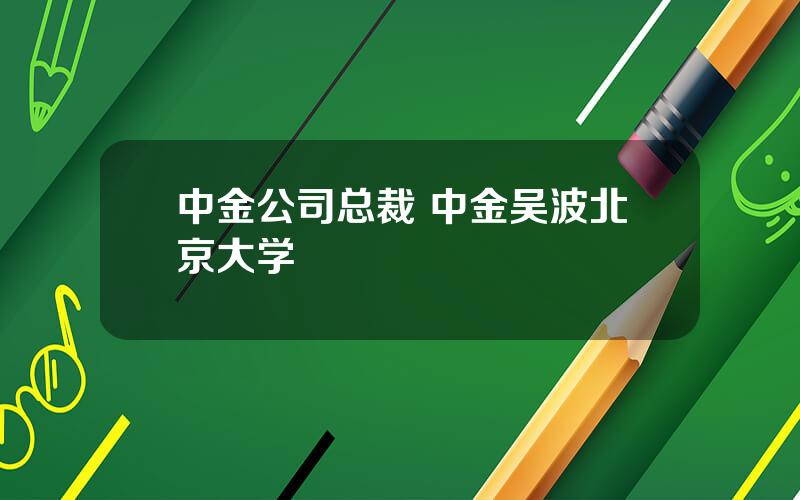 中金公司总裁 中金吴波北京大学